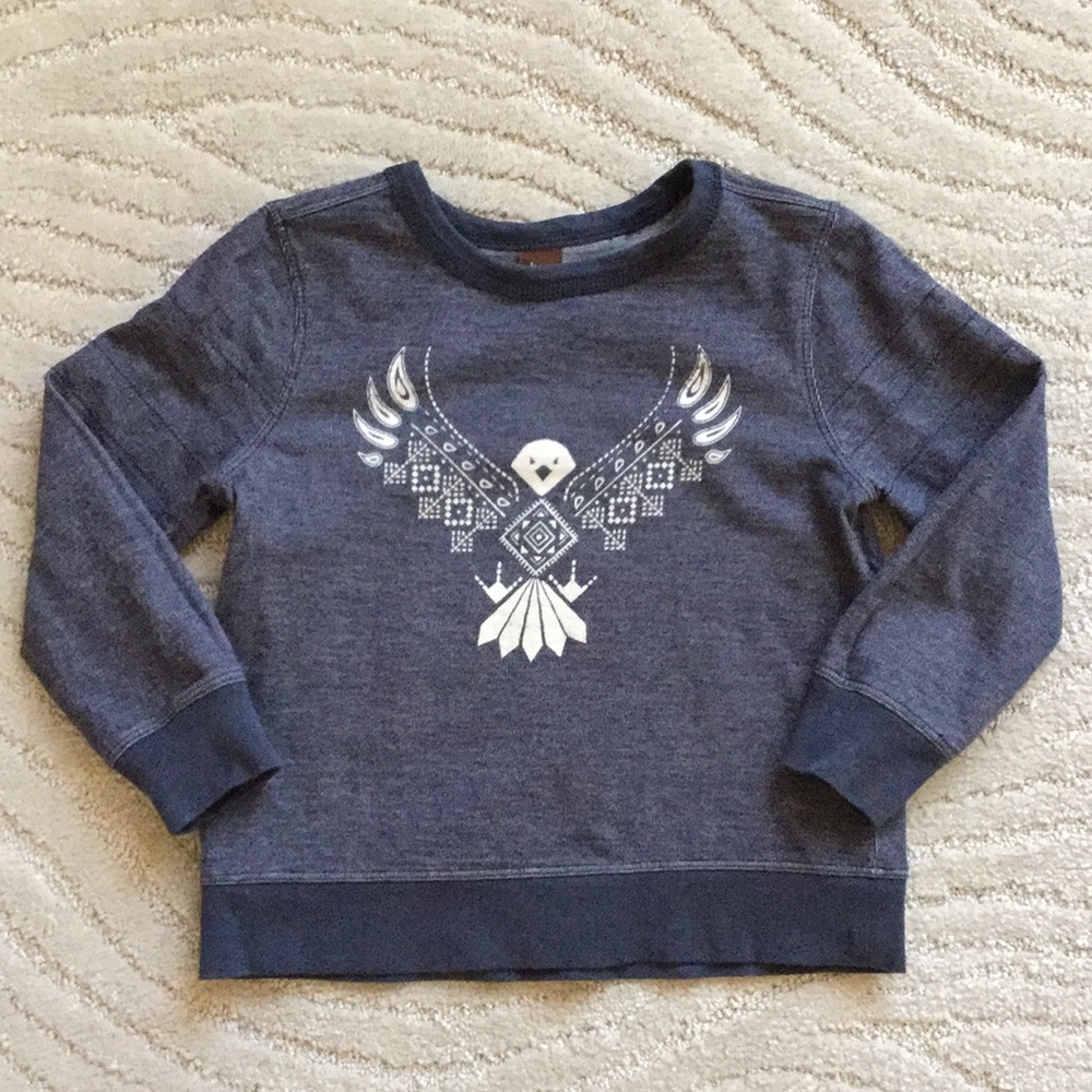 Tea Collection eagle sweatshirt - super-cute